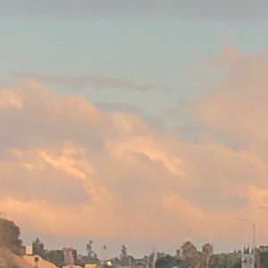 Meet your Posher, Priscilla